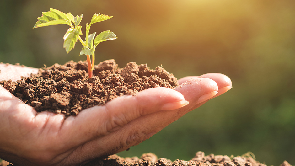 පරිසර නියමු කමිටුව 